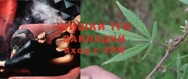 стаф Абинск