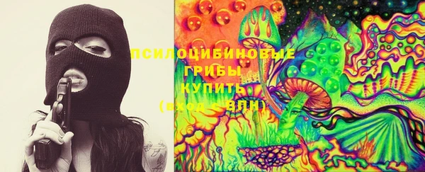 амф Абаза