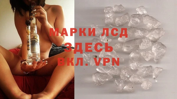 гидра Алексеевка
